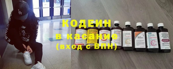 индика Карпинск