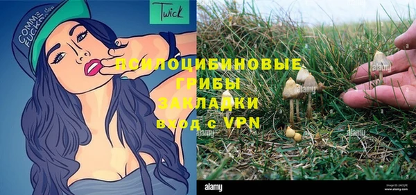 первитин Киреевск