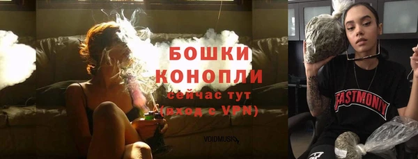 Альфа ПВП Касимов
