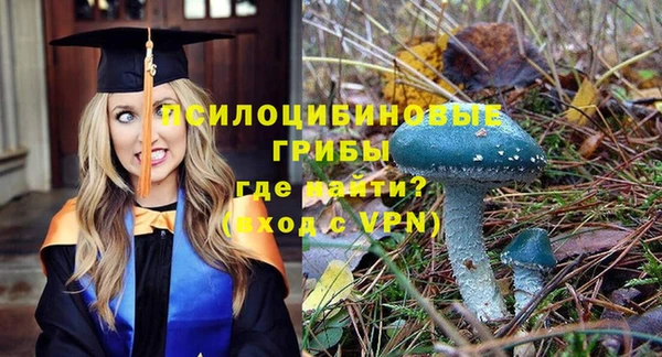 тгк Кинешма