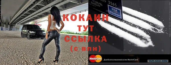 индика Карпинск