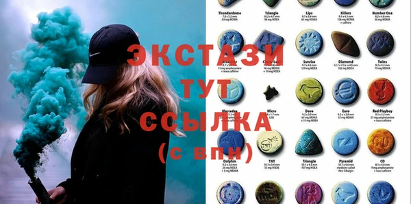 индика Карпинск