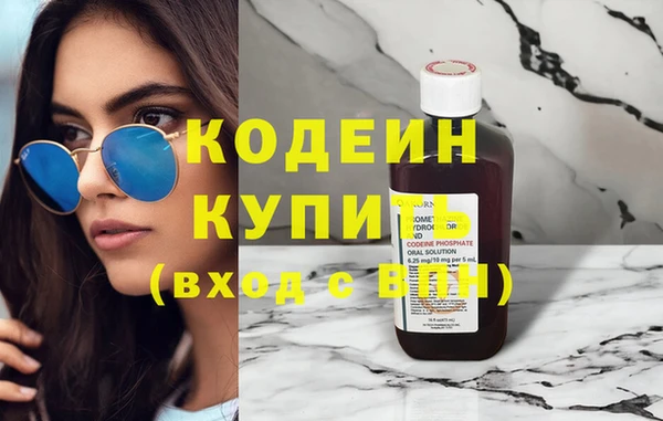 индика Карпинск