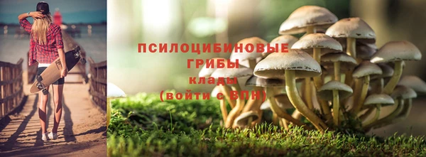 первитин Киреевск