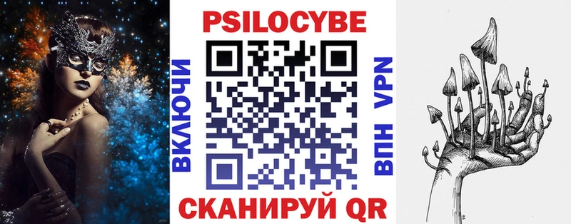 Купить где  Вичуга  Галлюциногенные грибы Psilocybe 